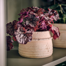 Load image into Gallery viewer, Hand-Crafted Terracotta Plant Pots
