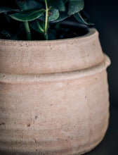 Load image into Gallery viewer, Hand-Crafted Terracotta Plant Pots
