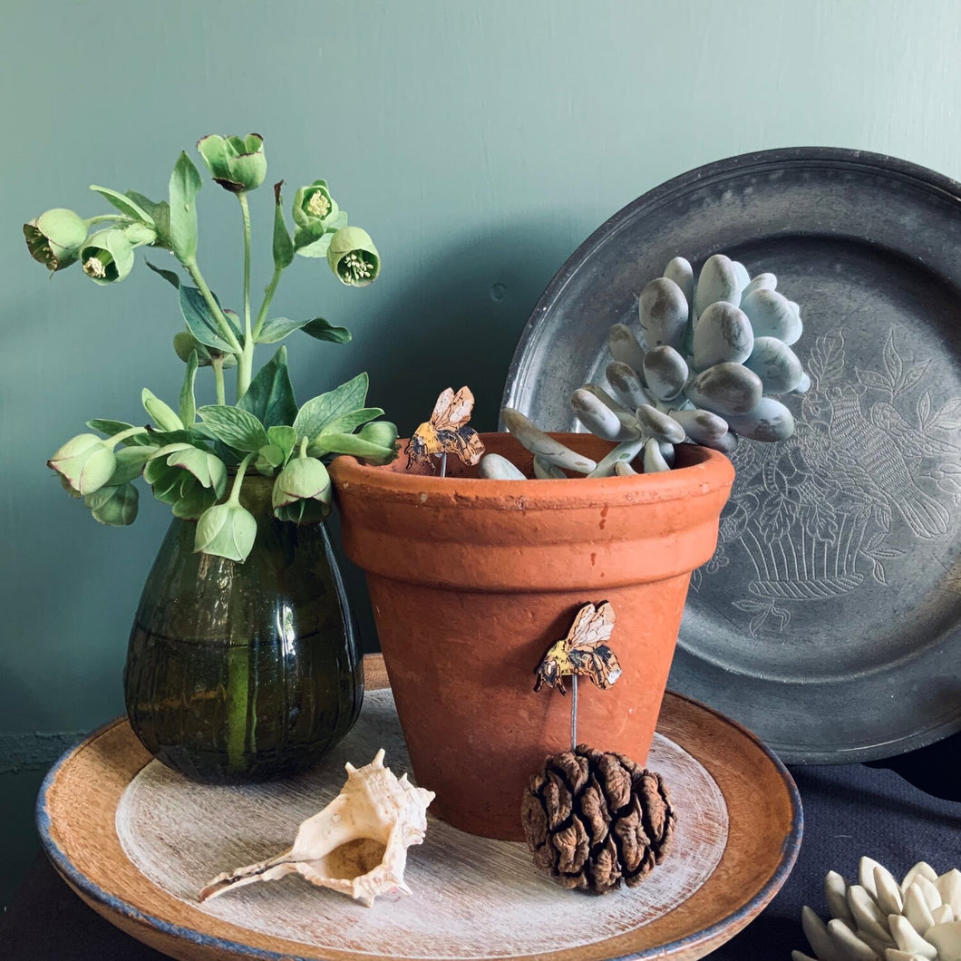 Plant Pot Companions