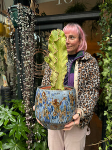 Euphorbia ingens Marmorata Variegata / Variegated Candelabra - *Local Delivery or Local Pick Up Only*