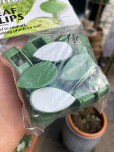 Leaf Plant Clips