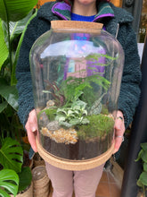 Load image into Gallery viewer, Extra Large Round Sealed Terrarium With Cork Mat - *Local Delivery or Local Pick Up Only*
