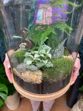 Load image into Gallery viewer, Extra Large Round Sealed Terrarium With Cork Mat - *Local Delivery or Local Pick Up Only*

