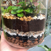Load image into Gallery viewer, Make Your Own Sealed Terrarium Workshop
