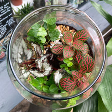 Load image into Gallery viewer, Make Your Own Sealed Terrarium Workshop
