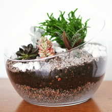 Load image into Gallery viewer, Make Your Own Succulent Terrarium Workshop
