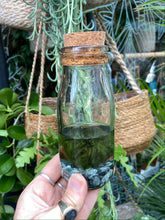 Load image into Gallery viewer, Marimo Moss Ball Terrarium - *Local Delivery or Local Pick Up Only*
