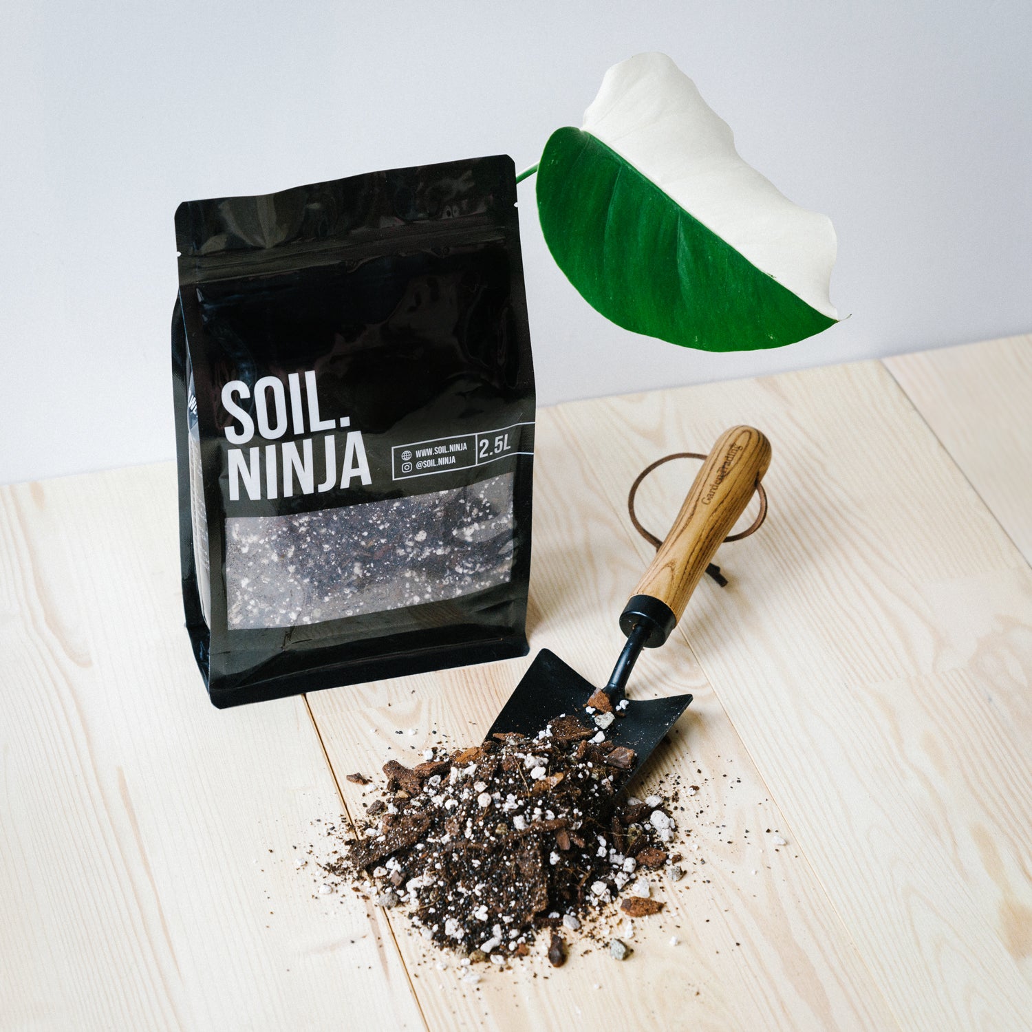 charcoal for monstera Soil Ninja Premium Monstera & Philodendron Blend 2.5L & 5L – Pilea Plant Shop