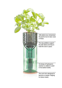 Hydro Herb Kit - Basil, Mint or Coriander