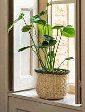 Load image into Gallery viewer, Fluted Seagrass Baskets
