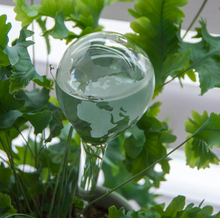 Load image into Gallery viewer, Glass Globe Plant Waterer
