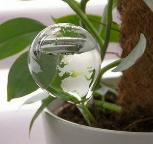 Glass Globe Plant Waterer