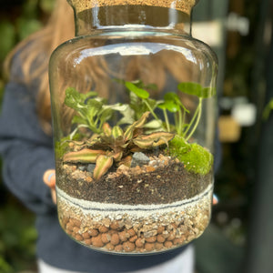 Make Your Own Sealed Terrarium Workshop