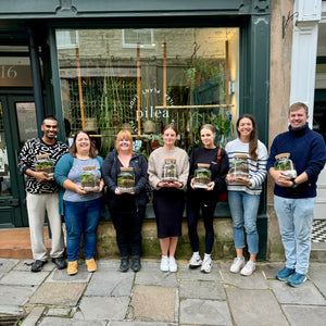 Make Your Own Sealed Terrarium Workshop