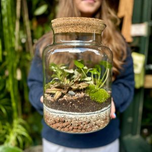 Make Your Own Sealed Terrarium Workshop