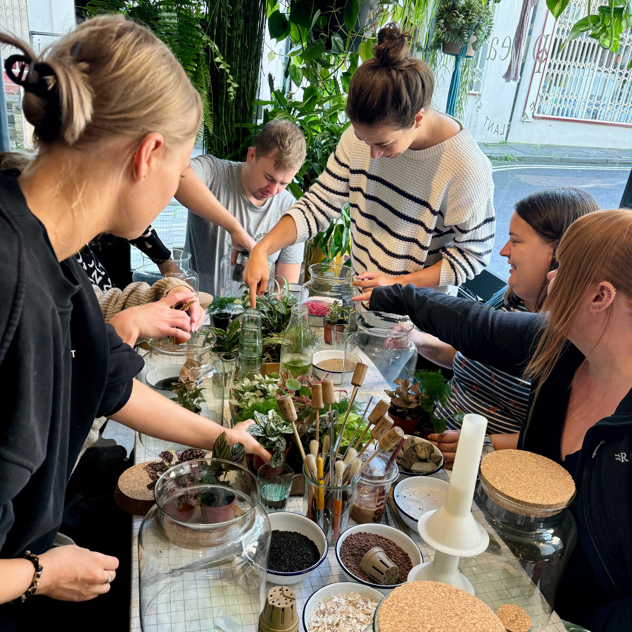 plant terrarium workshop Make Your Own Sealed Terrarium Workshop – Pilea Plant Shop