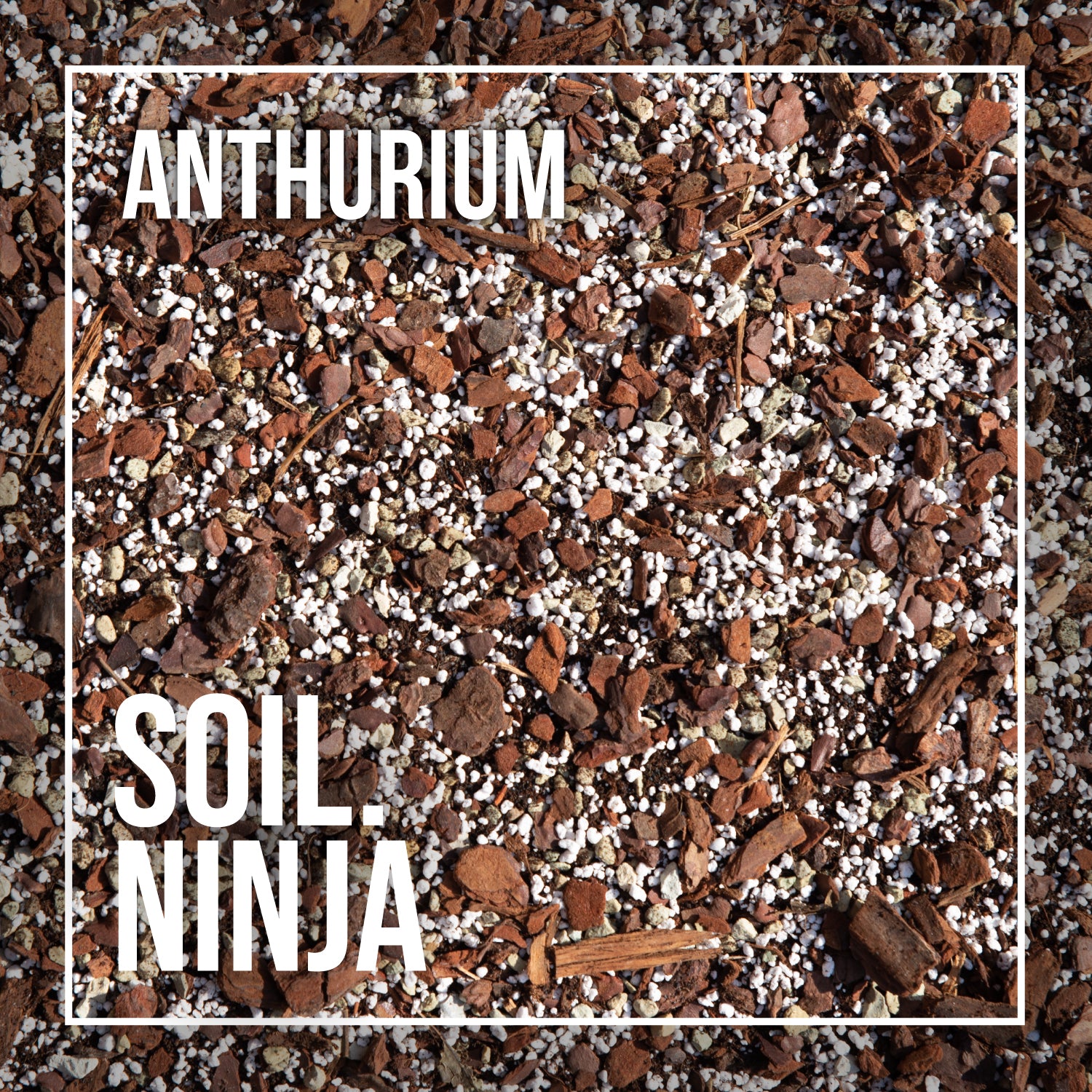 anthurium soil Soil Ninja Premium Anthurium & Orchid Blend 2.5L – Pilea Plant Shop