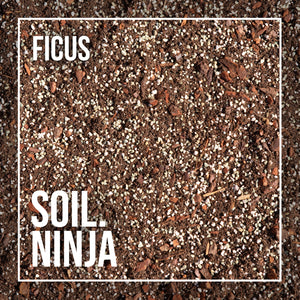 Soil Ninja Premium Ficus Blend 2.5L