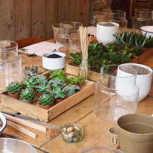 Load image into Gallery viewer, Make Your Own Succulent Terrarium Workshop
