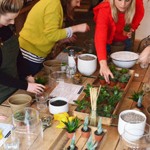 Load image into Gallery viewer, Make Your Own Succulent Terrarium Workshop
