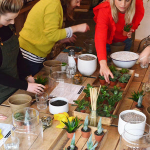 Make Your Own Succulent Terrarium Workshop