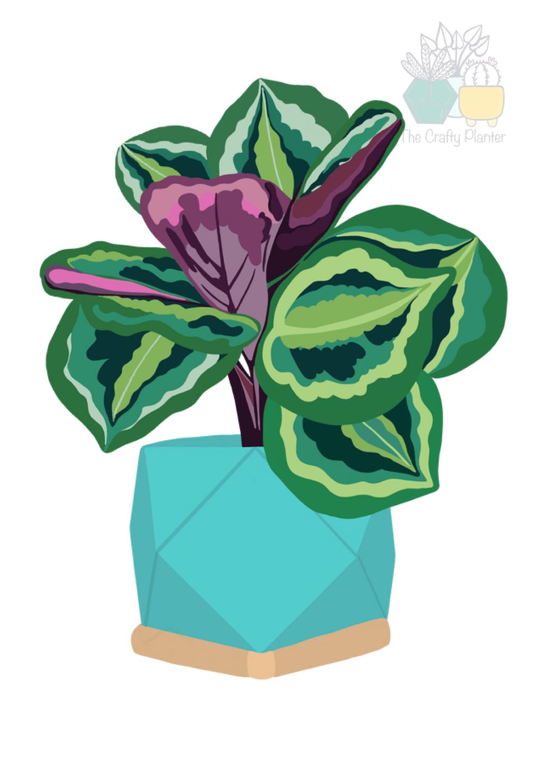 The Crafty Planter Calathea Medallion Card