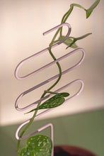 Load image into Gallery viewer, Pastel Plant Supports - Set of 3
