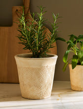 Load image into Gallery viewer, Textured Stoneware Plant Pots
