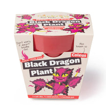 Load image into Gallery viewer, Children&#39;s Growing Kits
