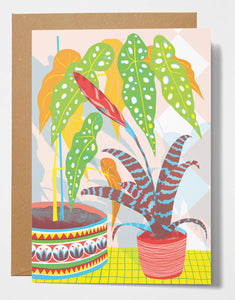 Printer Johnson Bromeliad Card