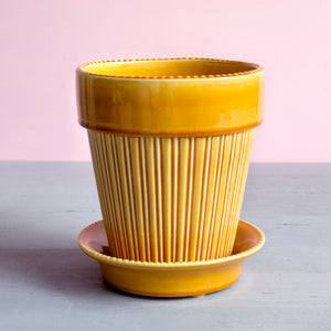Simona Yellow Glazed Plant Pots - *Local Delivery or Local Pick Up Only*