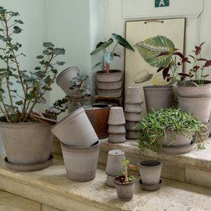 Helena Grey Plant Pots - *Local Delivery or Local Pick Up Only*