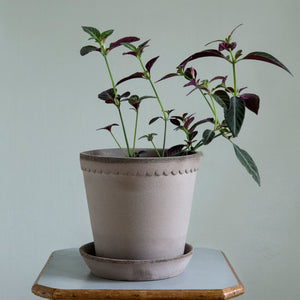 Helena Grey Plant Pots - *Local Delivery or Local Pick Up Only*