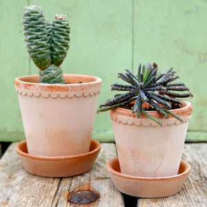 Helena Rose Plant Pots - *Local Delivery or Local Pick Up Only*