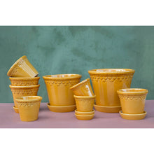 Load image into Gallery viewer, Copenhagen Yellow Glazed Plant Pots - *Local Delivery or Local Pick Up Only*
