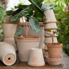 Load image into Gallery viewer, Helena Rose Plant Pots - *Local Delivery or Local Pick Up Only*
