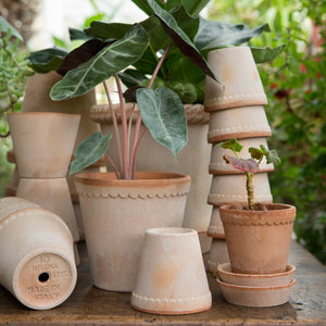 Helena Rose Plant Pots - *Local Delivery or Local Pick Up Only*