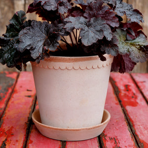 Helena Rose Plant Pots - *Local Delivery or Local Pick Up Only*