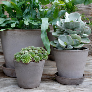 Julie Grey Plant Pots - *Local Delivery or Local Pick Up Only*