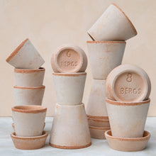 Load image into Gallery viewer, Julie Rose Plant Pots - *Local Delivery or Local Pick Up Only*
