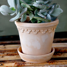 Load image into Gallery viewer, Copenhagen Rose Plant Pots - *Local Delivery or Local Pick Up Only*
