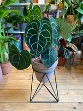 Load image into Gallery viewer, Handmade Triangular Metal Plant Stands - *Local Delivery or Local Pick Up Only*
