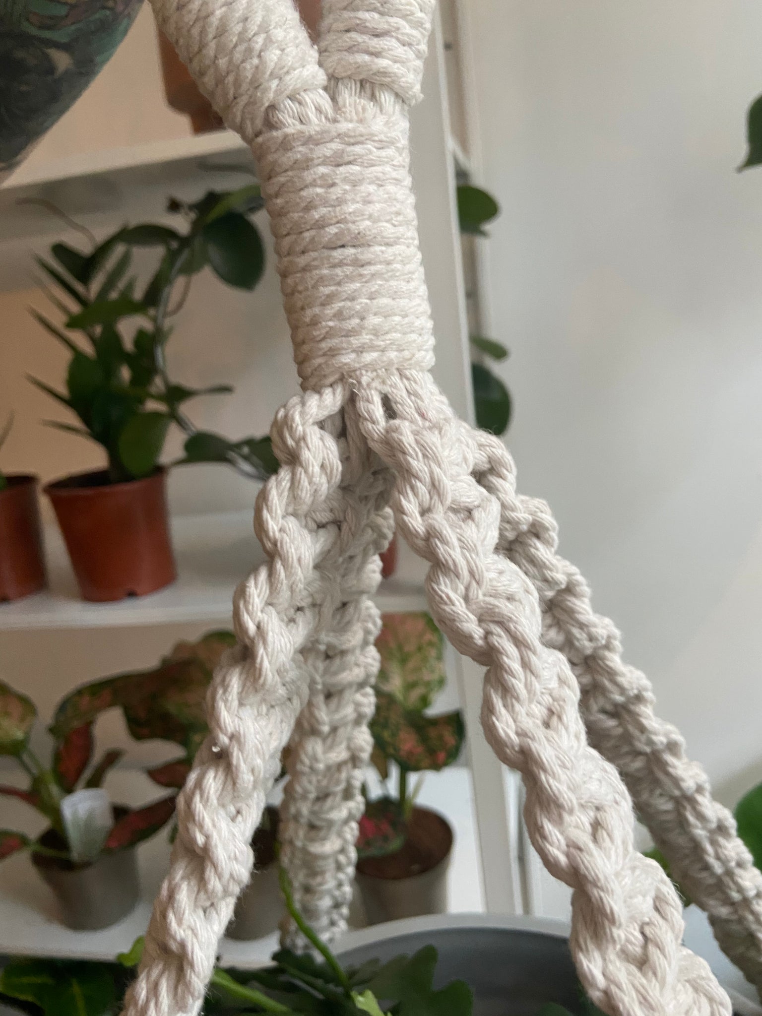 crown knot macrame plant hanger XL Handmade Macrame Plant Hanger – Pilea Plant Shop