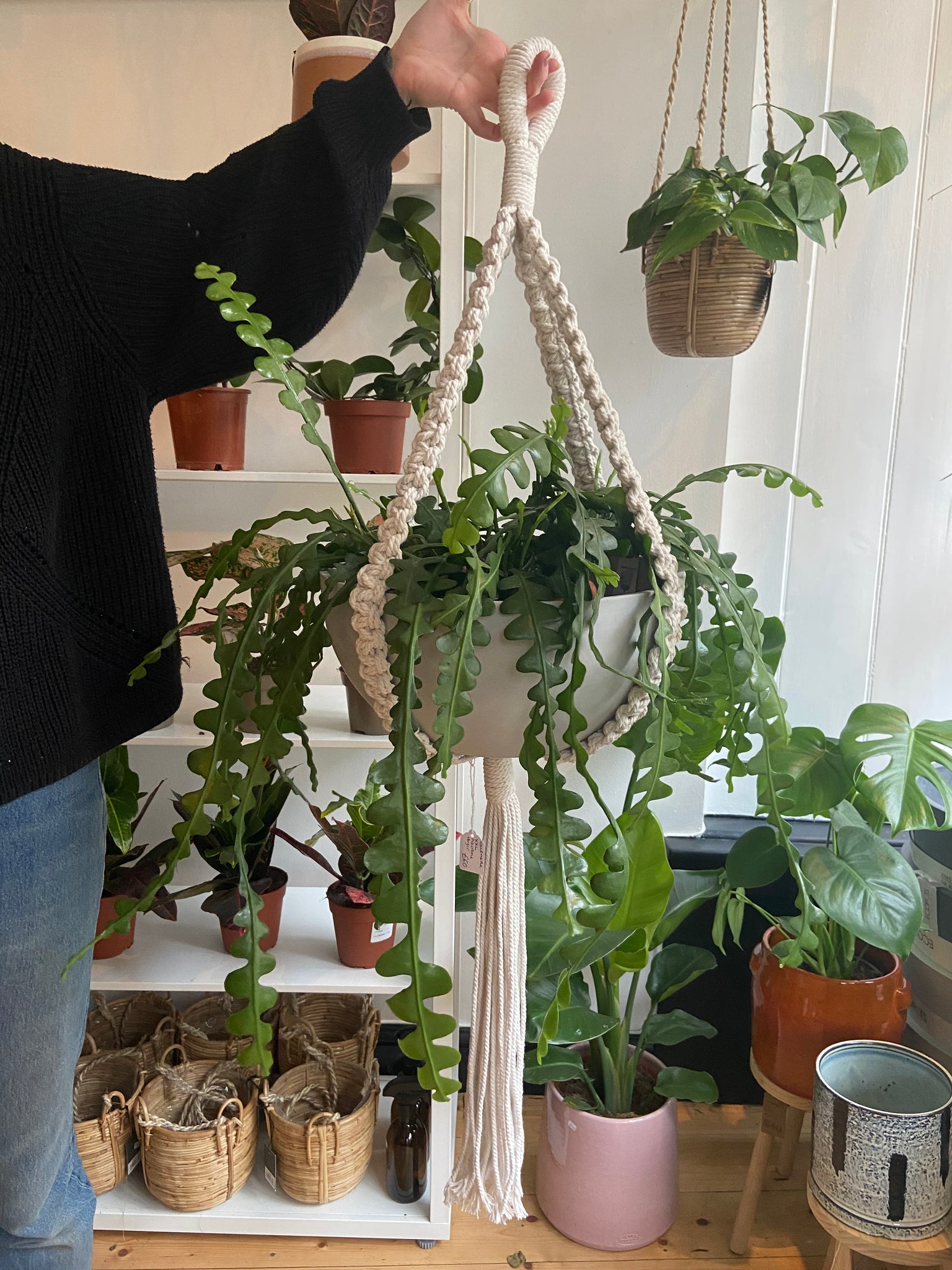 xl macrame plant hanger XL Handmade Macrame Plant Hanger – Pilea Plant Shop