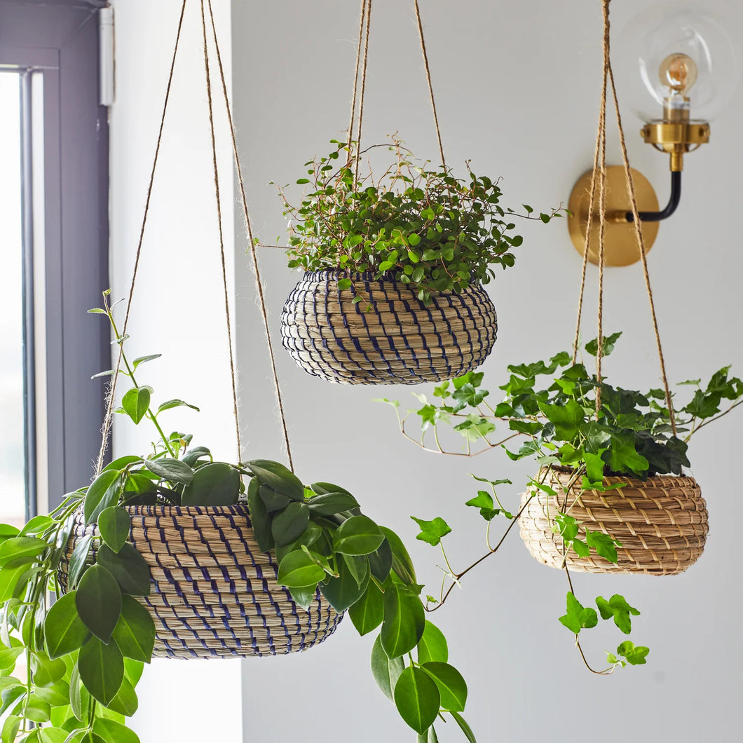 Hanging Seagrass Planters
