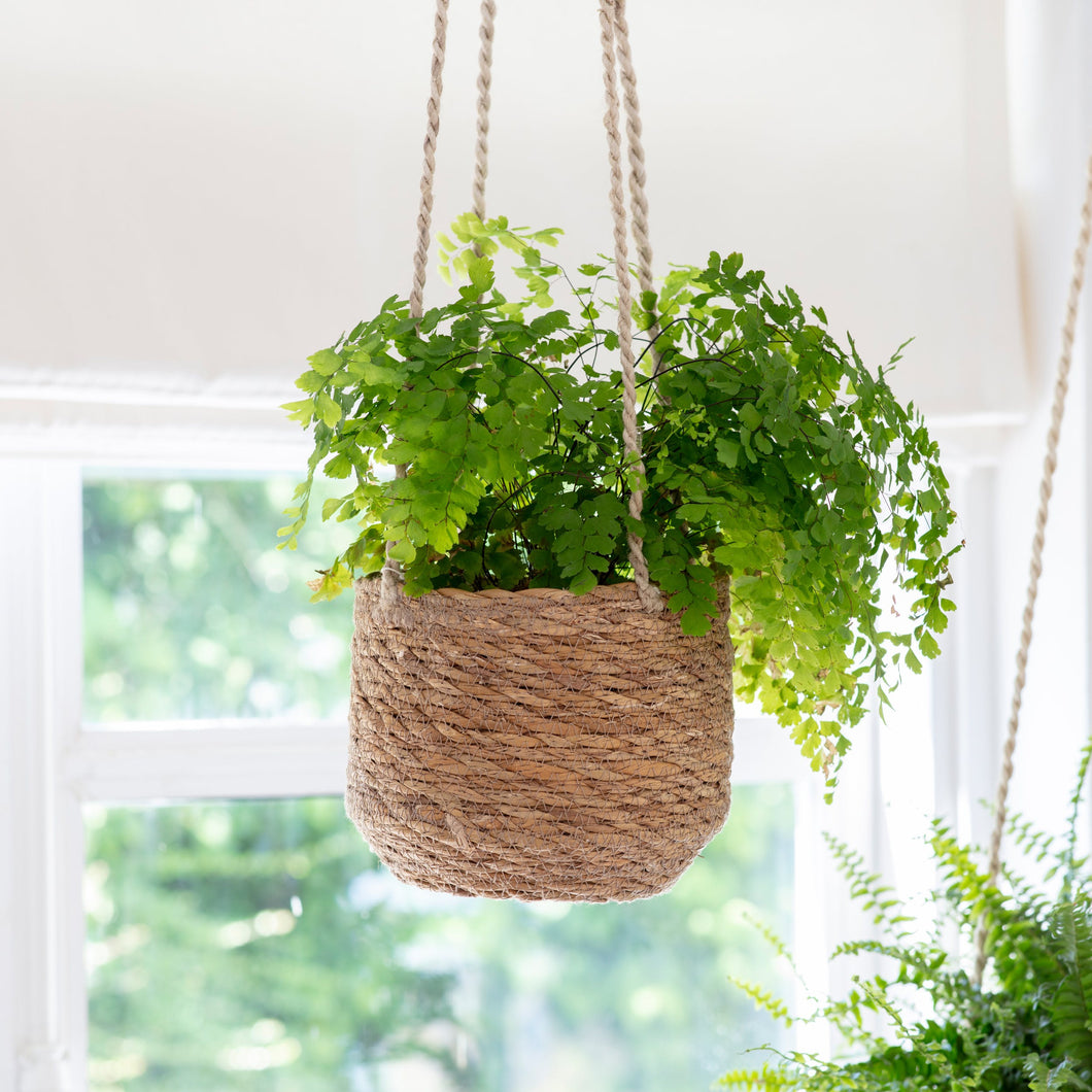 Hanging Plant Pot In Seagrass