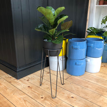 Load image into Gallery viewer, Handmade Metal Plant Stands - *Local Delivery or Local Pick Up Only*
