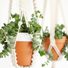 Load image into Gallery viewer, Make Your Own Macrame Plant Hanger Workshop
