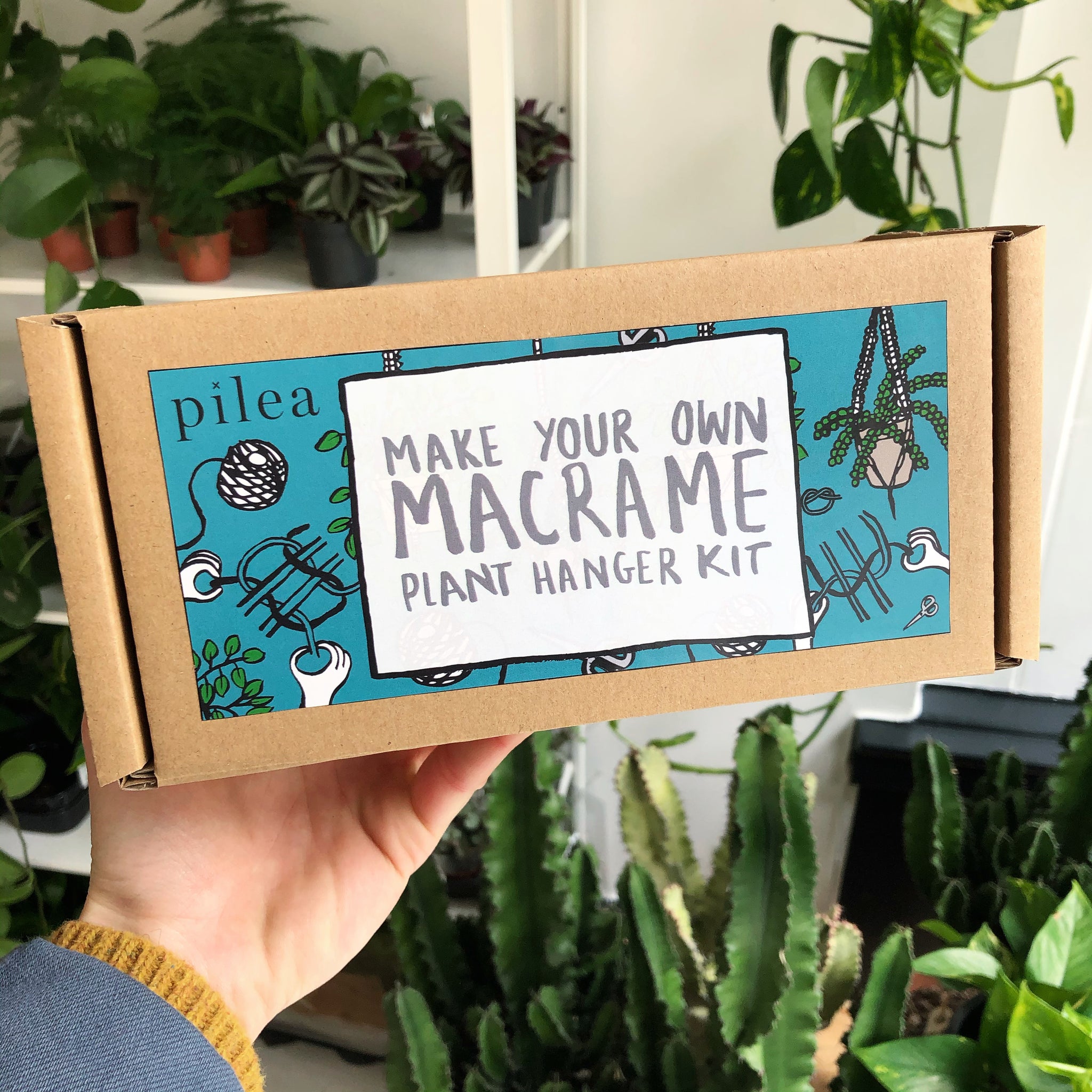 make your own macrame plant hanger kit Macrame Plant Hanger Kit – Pilea Plant Shop