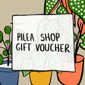 Pilea Plant Shop Gift Voucher